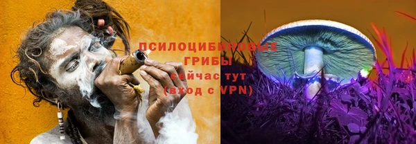mdpv Арсеньев