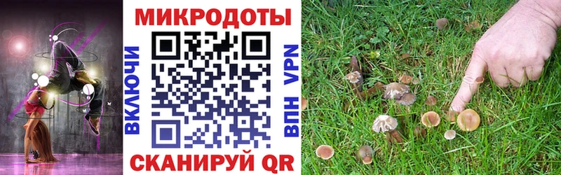 наркотики  Певек  Галлюциногенные грибы MAGIC MUSHROOMS 